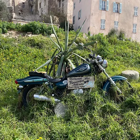 Citadelle, Vue Appartement Calvi (Corsica)